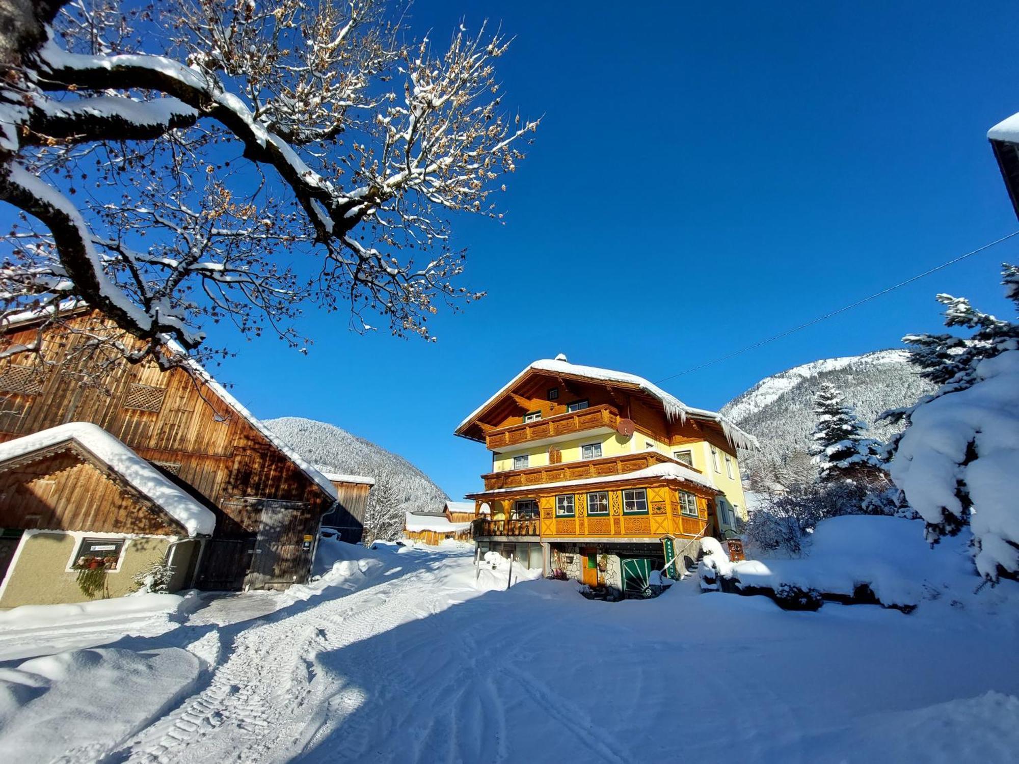 Wagnerhof Farma *