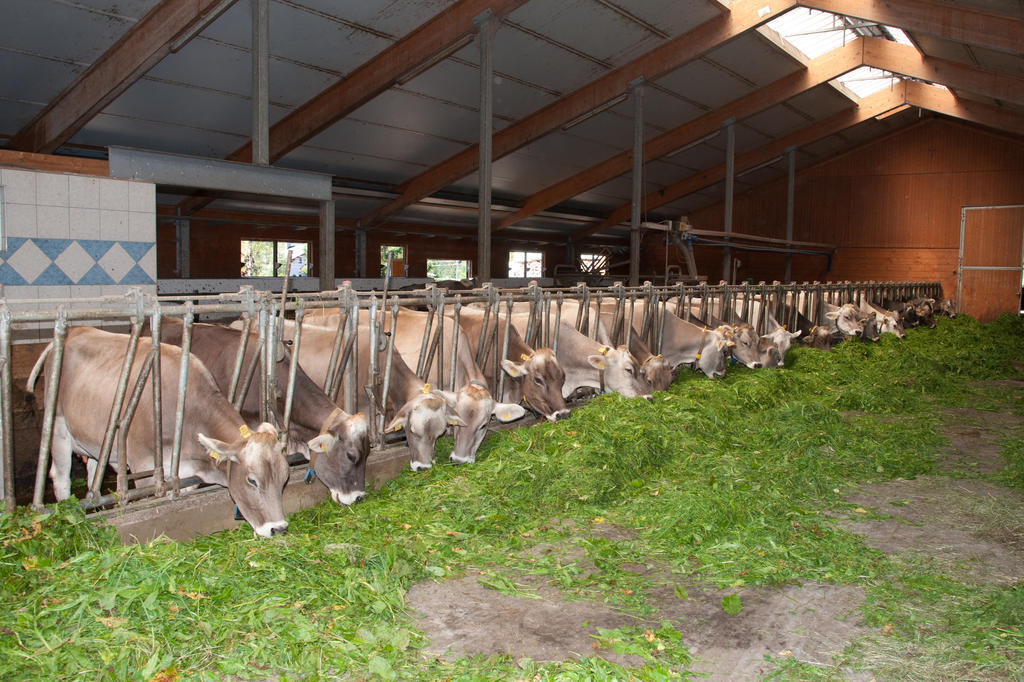 Bauernhof Wagnerhof Pichl bei Aussee